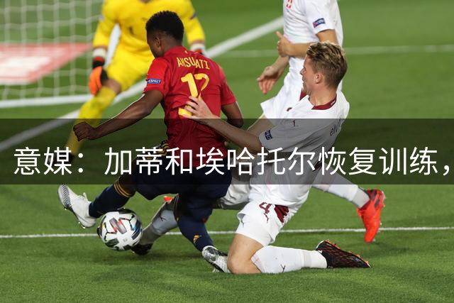 意媒：加蒂和埃哈托尔恢复训练，目前本周末复出战帕尔马
