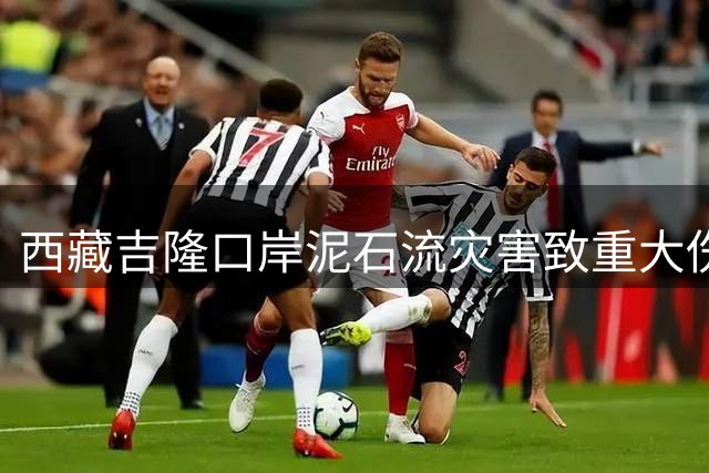 西藏吉隆口岸泥石流灾害致重大伤亡，导游及时改变行程躲过一劫