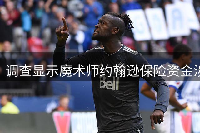 调查显示魔术师约翰逊保险资金涉关联交易疑云